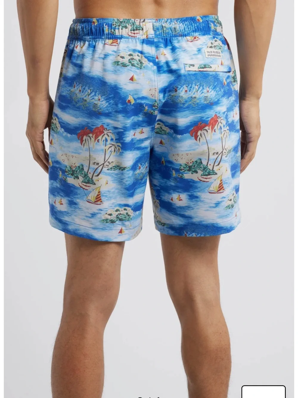 Fair Harbor BayBerry Swim‎ Trunks Surf Days Print Size Large